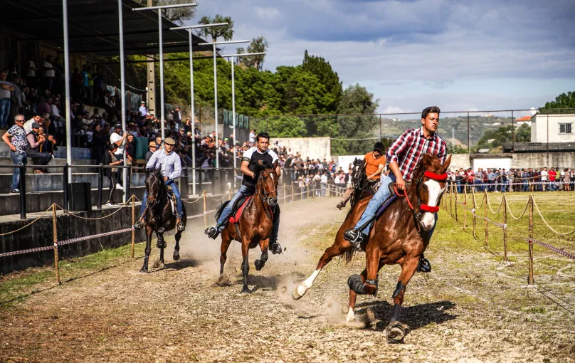 Feira de Santa Cruz volta a promover a arte equestre em Lamego