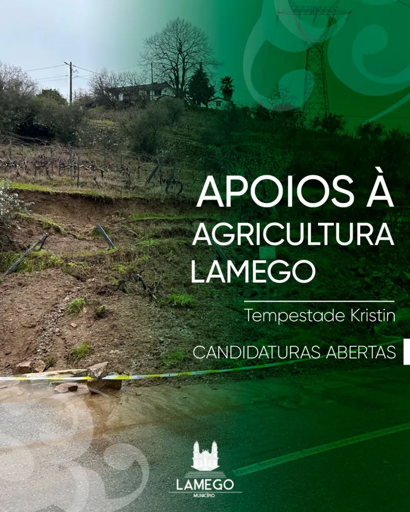 Tempestade Kristin: Abertas as candidaturas para atribuição de apoios aos agricultores