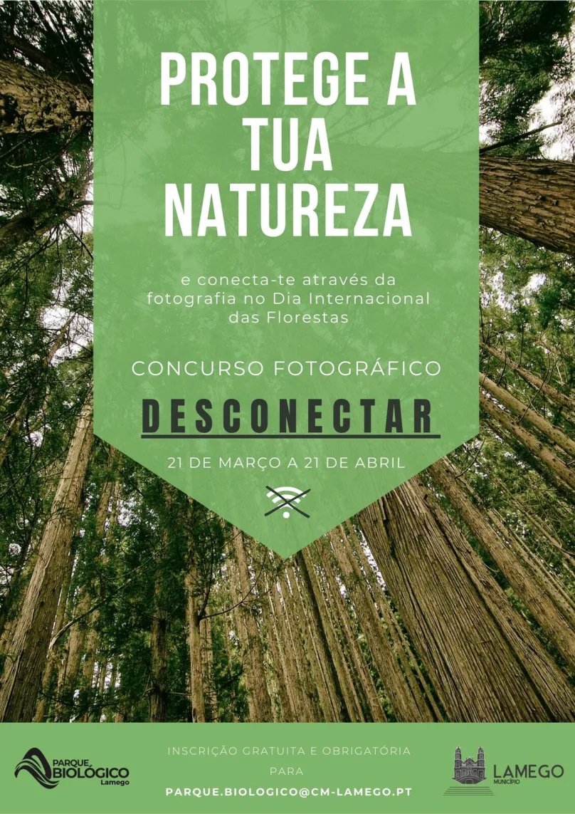 Novo concurso de fotografia assinala Dia das Florestas