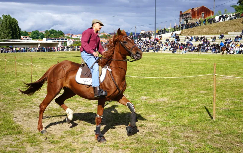 Arte equestre atrai aficionados à Feira de Santa Cruz em Lamego