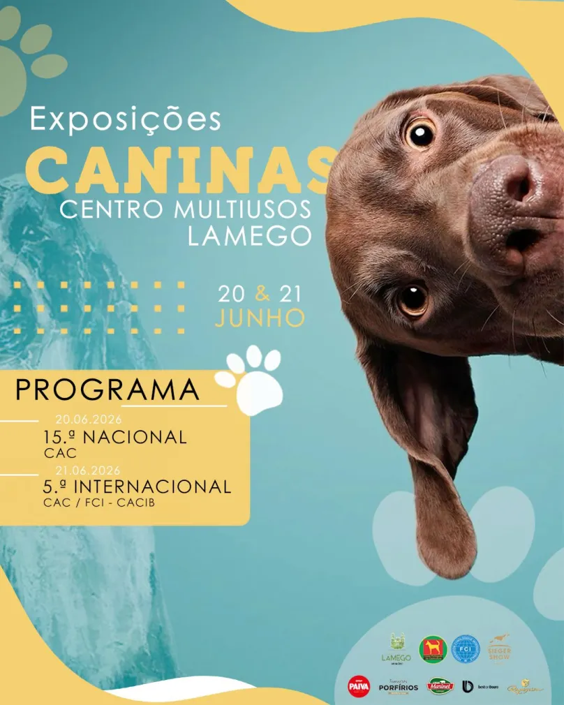 Lamego acolhe exposições caninas oficiais no próximo fim de semana