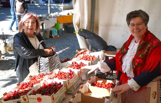 Todo o sabor e tradição do Douro na Montra da Cereja da Penajóia