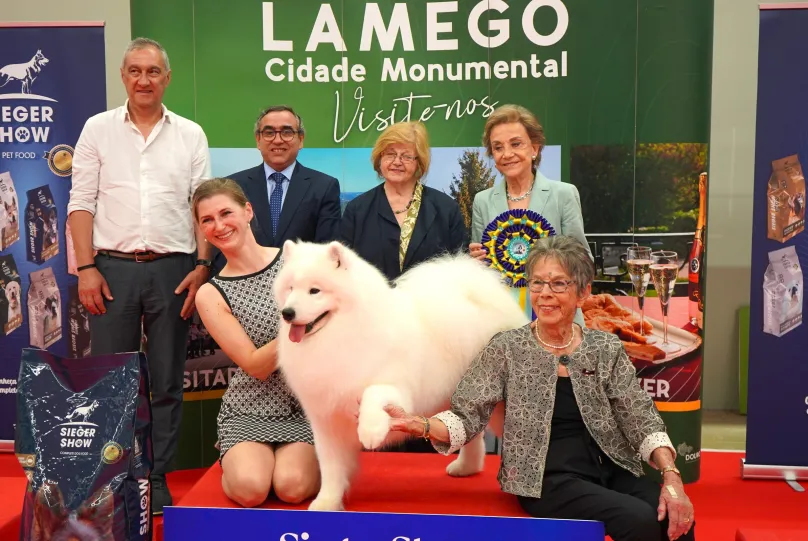 Mais de 700 cães em prova na cidade de Lamego