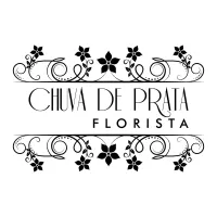 Chuva de Prata
